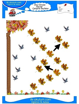 Çocuklar İçin sayı Çalışma Sayfaları 